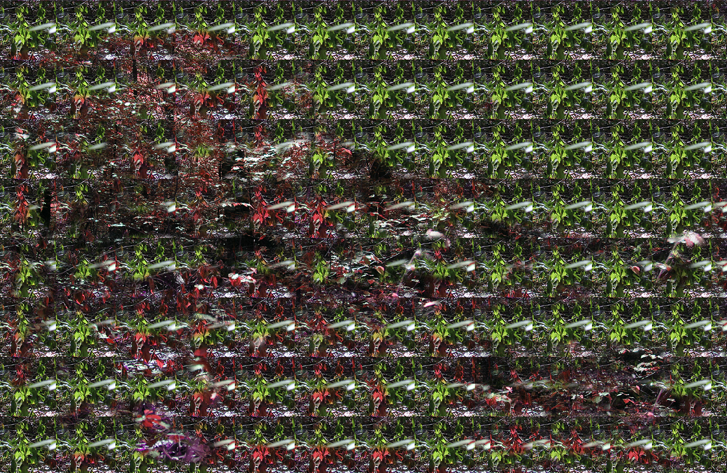 WALDLOOP 6.2