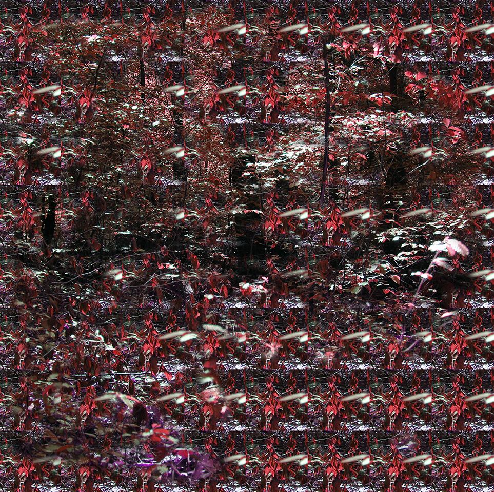 WALDLOOP 6.3