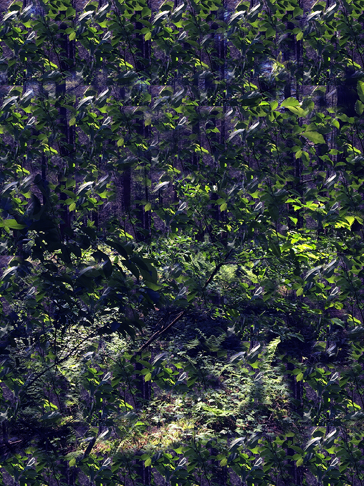 WALDLOOP 6.5