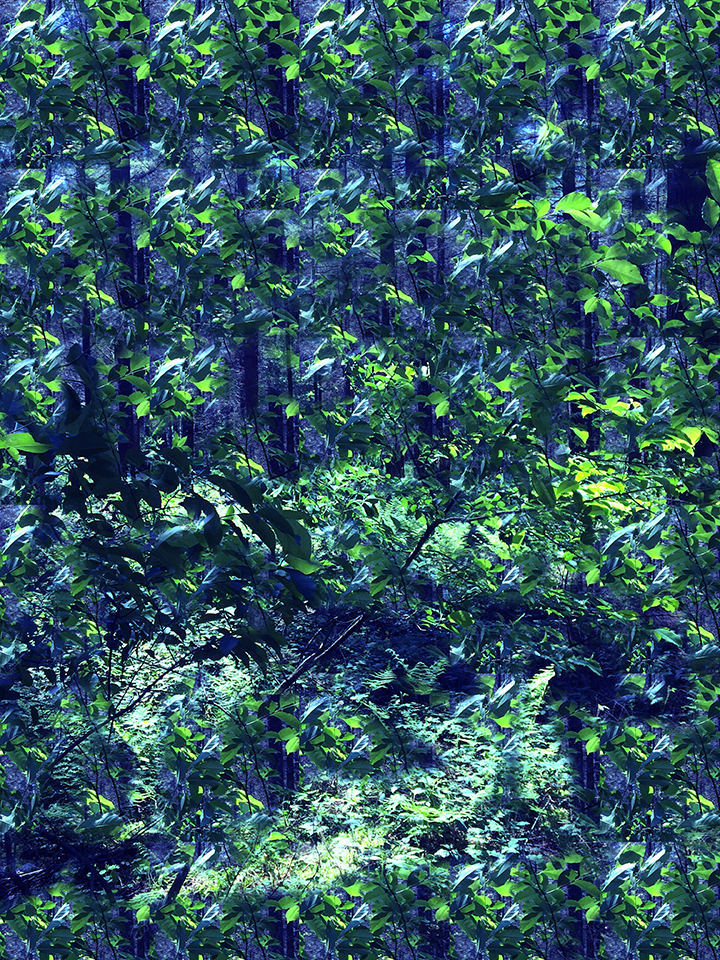 WALDLOOP 6.6