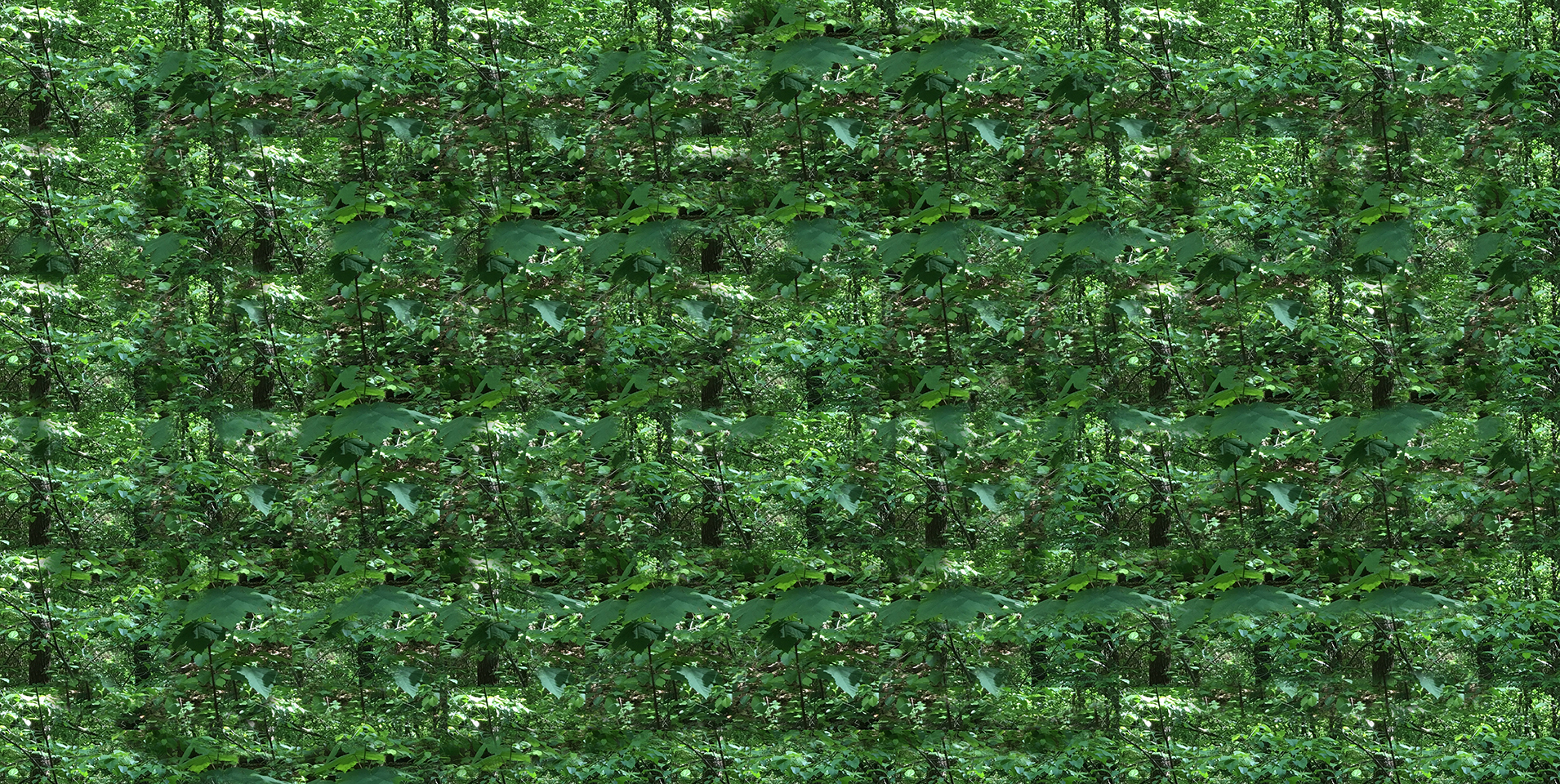 WALDLOOP 6.7