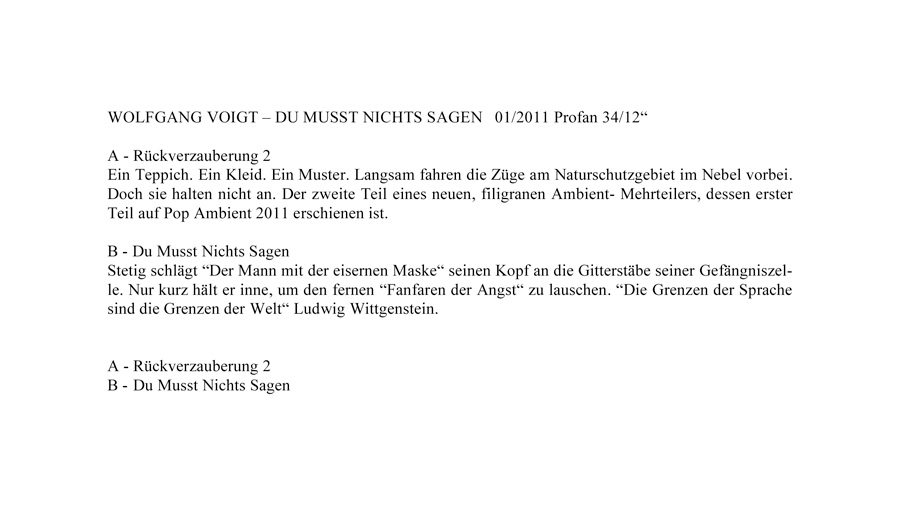 WOLFGANG VOIGT - DU MUSST NICHTS SAGEN INFOTEXT