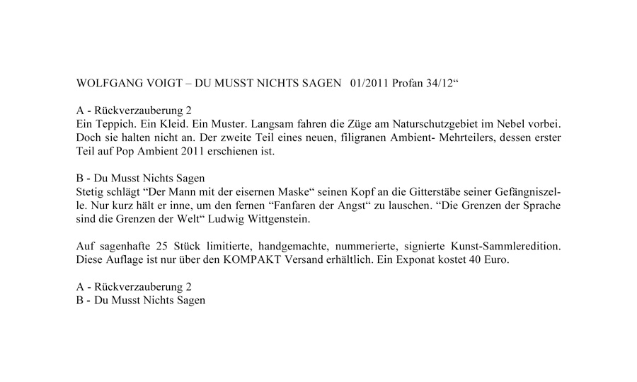 WOLFGANG VOIGT - DU MUSST NICHTS SAGEN / SUPERLIM INFOTEXT