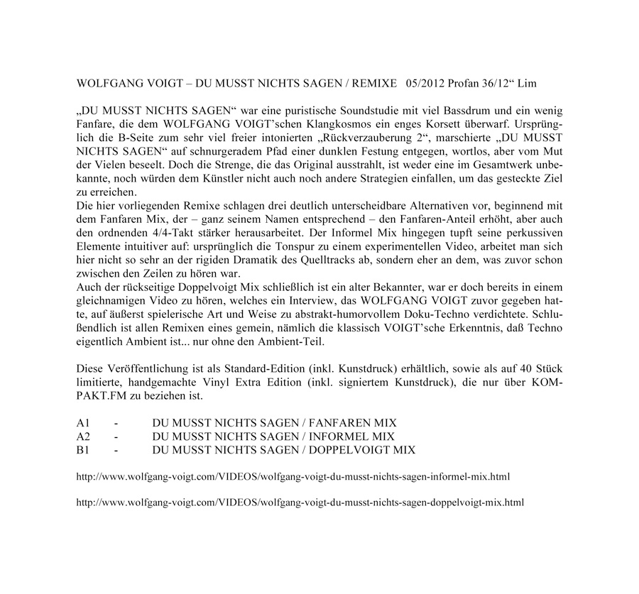 WOLFGANG VOIGT - DU MUSST NICHTS SAGEN / REMIXE LIM INFOTEXT