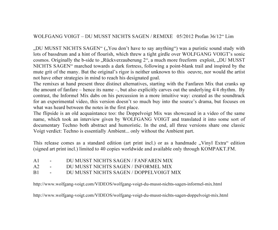 WOLFGANG VOIGT - DU MUSST NICHTS SAGEN / REMIXE LIM INFOTEXT