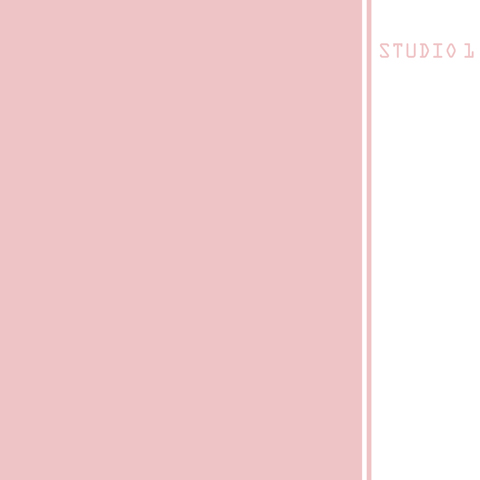 STUDIO 1 – ROSA